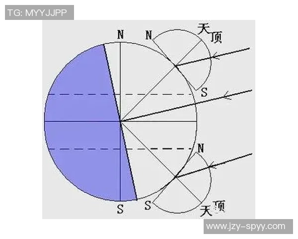 上海排球队灵活性分析与战术调整的深度探讨
